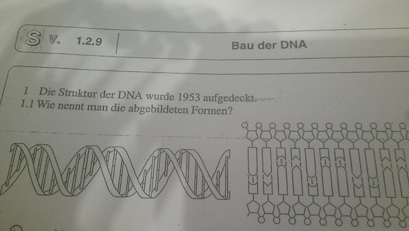 DNA - (Biologie, DNA)