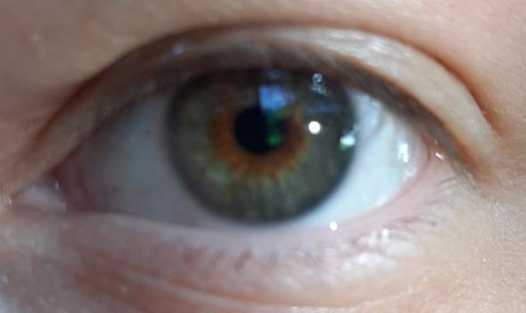 Wie nennt man meine Augenfarbe, Braun-Grün einfach?