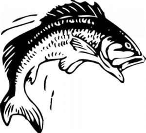 Fisch - (Kunst, zeichnen)