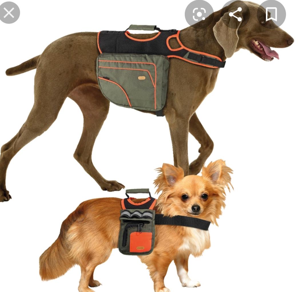 wie nennt man so einen rucksack tasche welche hunde tragen hund hundetraining dog