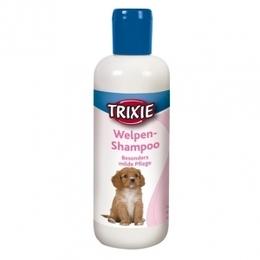 Wie Oft Darf Ich Meinen Welpen Baden Hund Hygiene