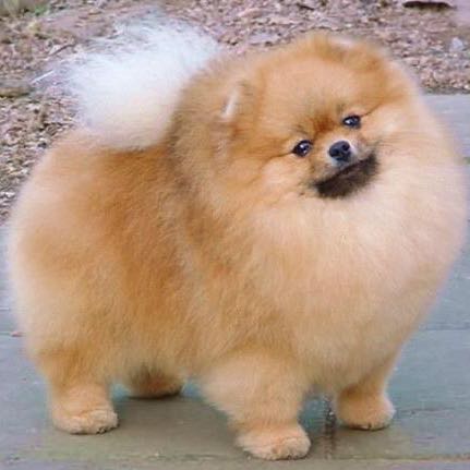 Rätsel net Rätsel net