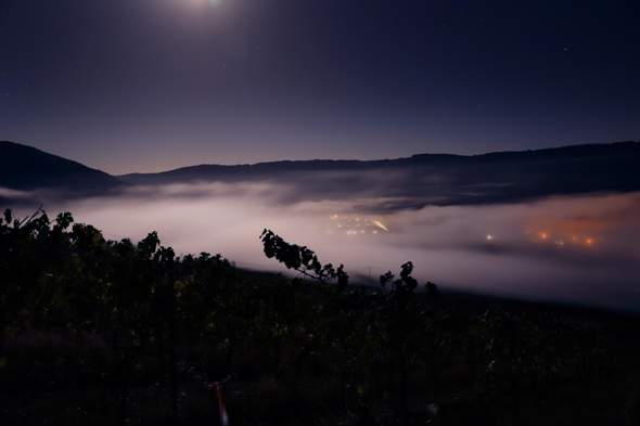 Wie oft schaut ihr euch den Nebel an?