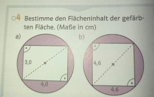 Bild zum Beitrag