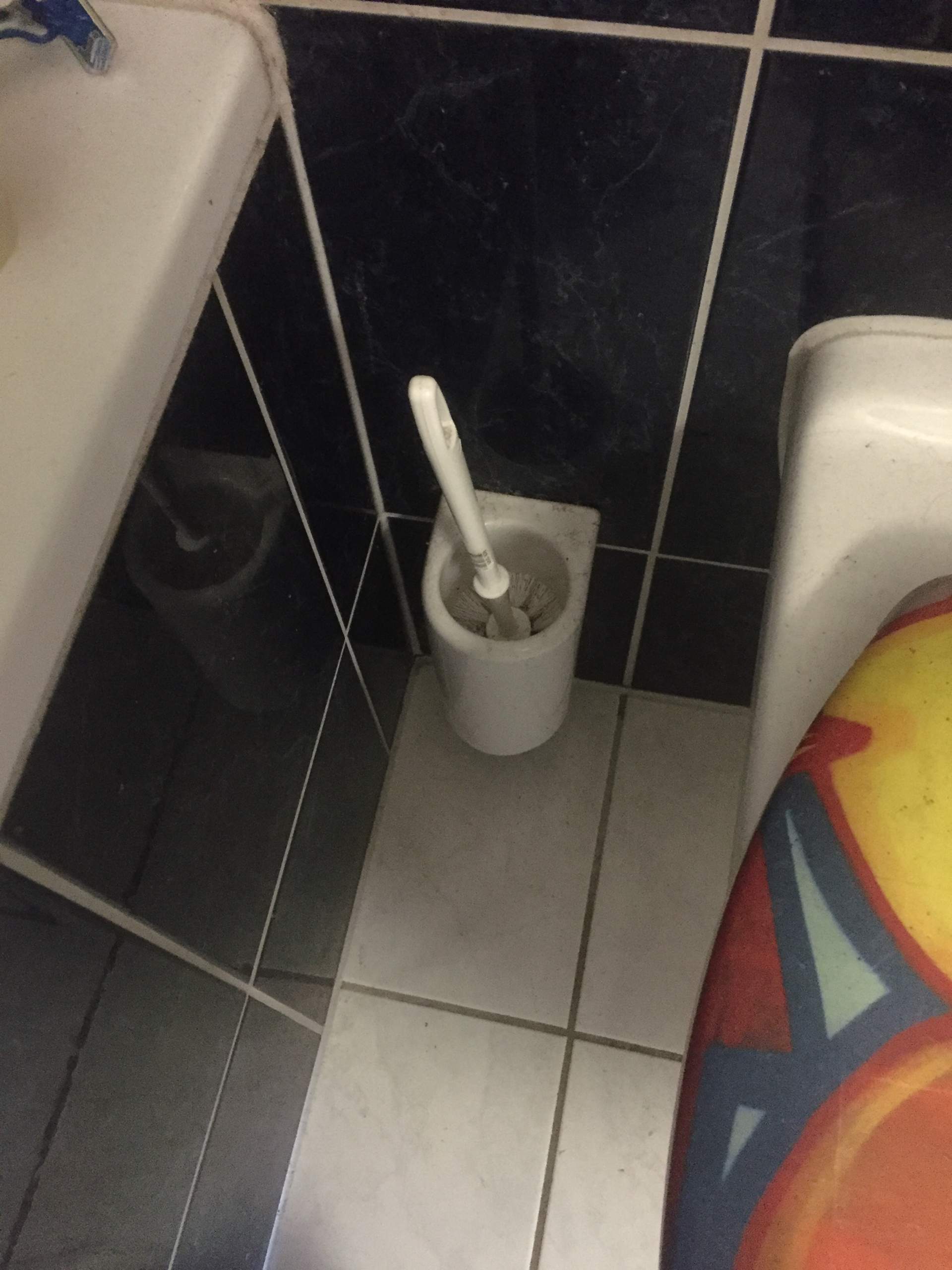 Toilette reinigen mit DanKlorix