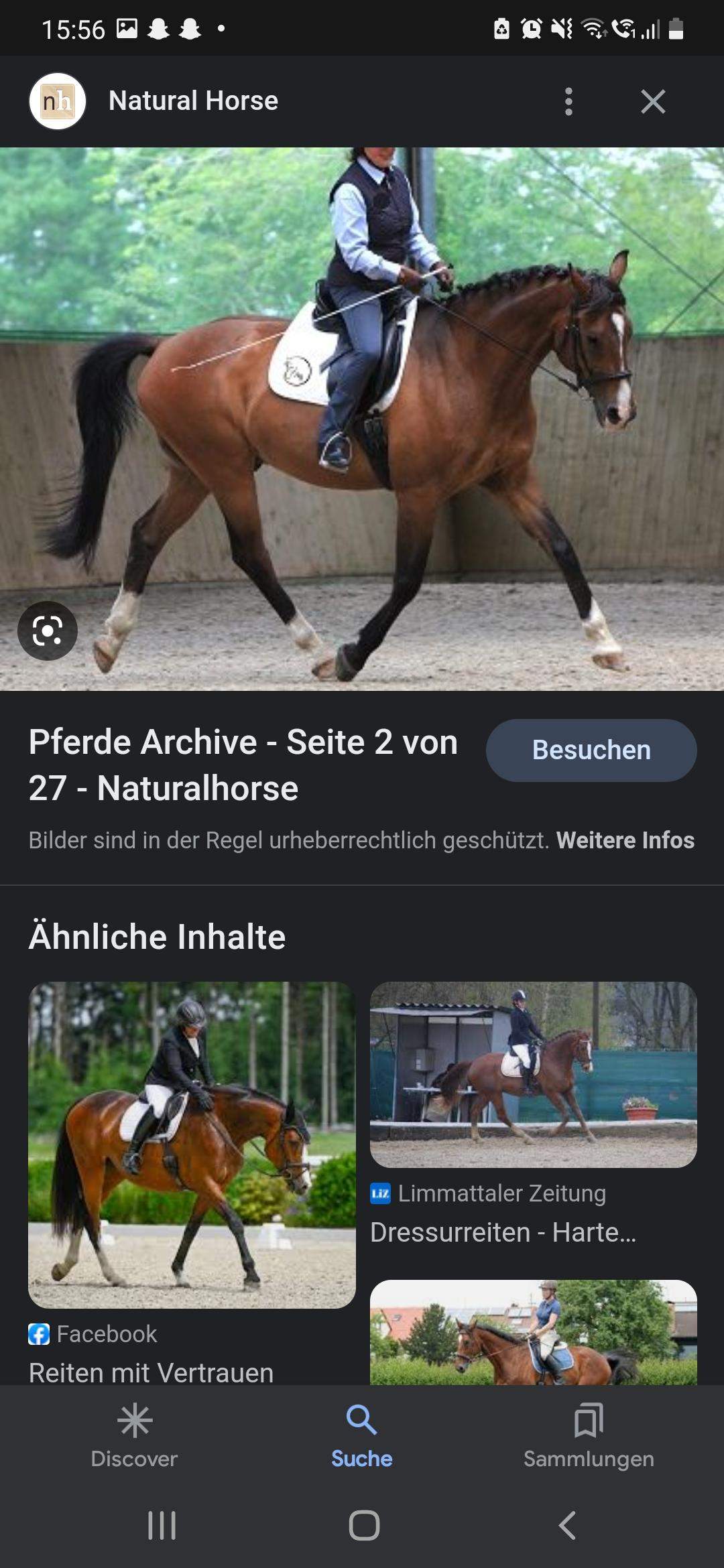 Wie reitet man ein Pferd nicht auf der Vorhand? (Reiten, Anlehnung)