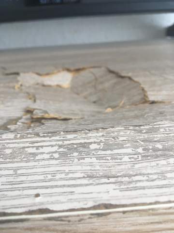 Wie Repariert Man Das? (Computer, Auto, Videospiele)