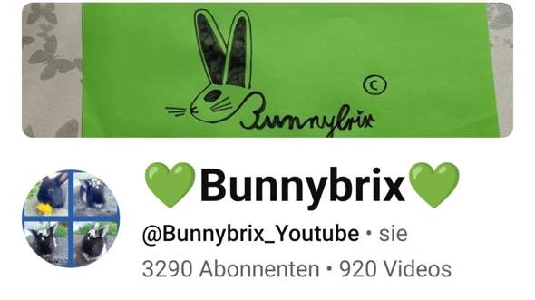 Bild zum Beitrag