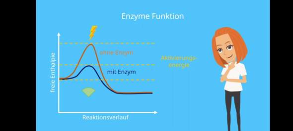 Wie schafft es ein enzym die Aktivierungsenergie zu senken?