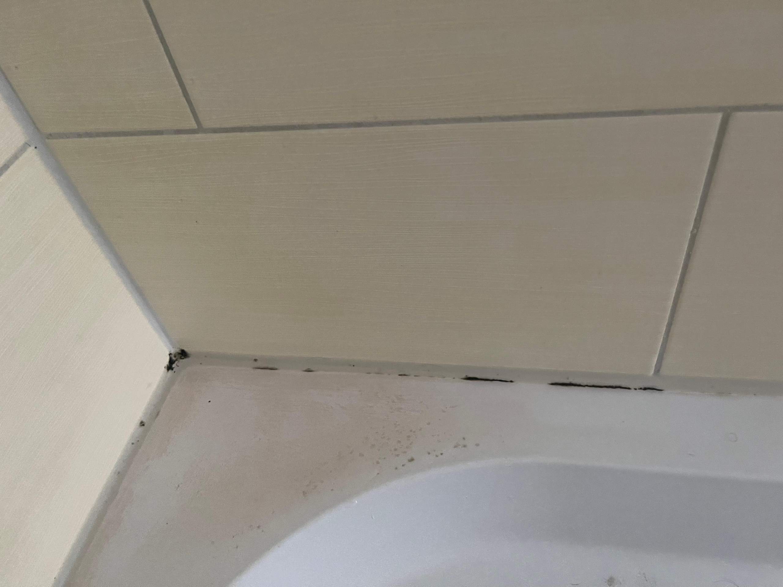 Wie Schimmel an Silikonfugen (Dusche) entfernen? (Gesundheit, Wohnung, Haus)