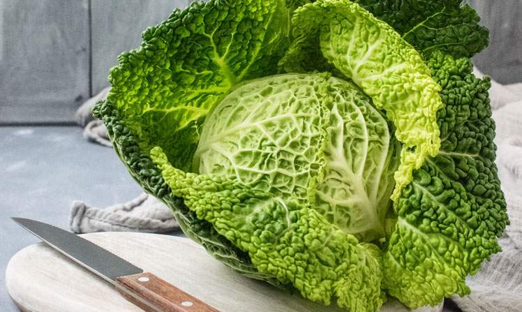 Wie Schmeckt Wirsing? (Geschmack, Essen Und Trinken, Kochen Und Backen)