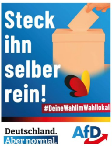 Wie sehr spricht euch dieser Originalflyer der AfD zur Bundestagswahl an?