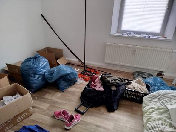 Bild zum Beitrag