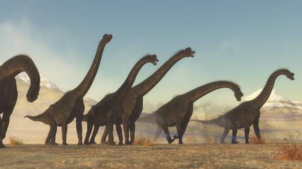 Wie Sind Eigentlich Dinos Aus Der Natur Verschwunden Tiere