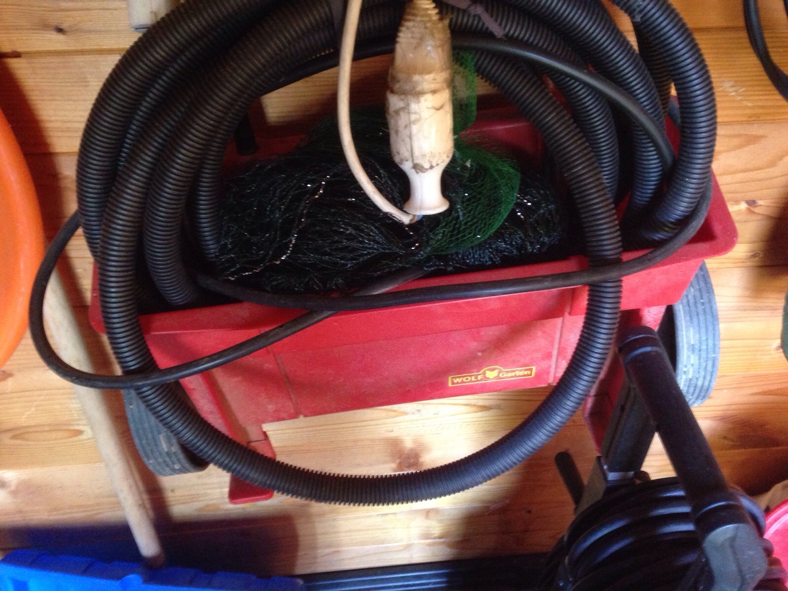 Wie soll ich den Rasen behandeln? (Garten, Dünger, Rollrasen)