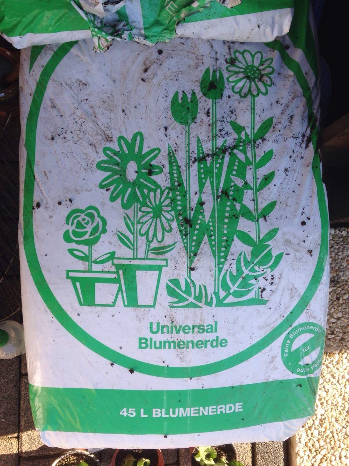 Wie soll ich den Rasen behandeln? (Garten, Dünger, Rollrasen)