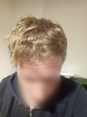 Bild zum Beitrag
