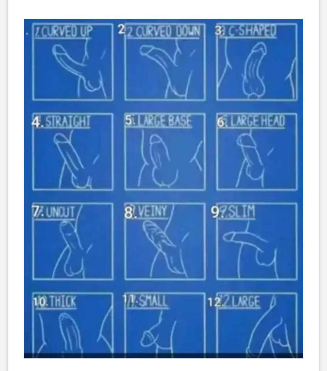 Wie sollte euer "Traum"-Penis aussehen? (Penisvergleich)