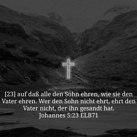 Bild zum Beitrag