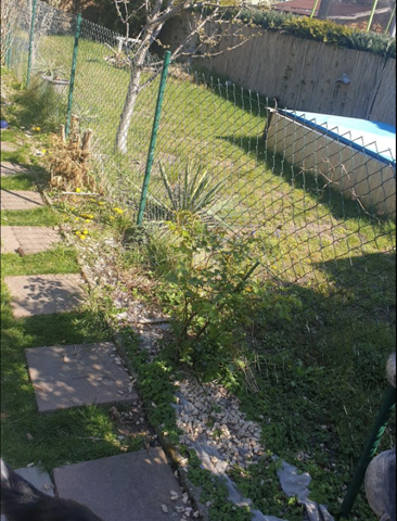 Wie springt man am besten über diesen Zaun?