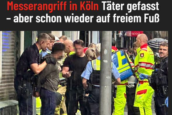 Bild zum Beitrag