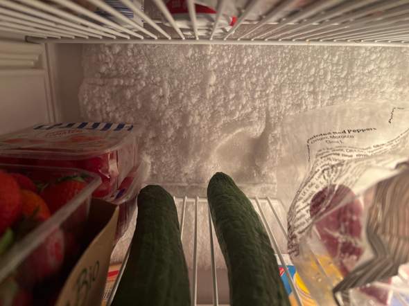 Wie stelle ich beim Liebherr Kühlschrank Temperatur ein?
