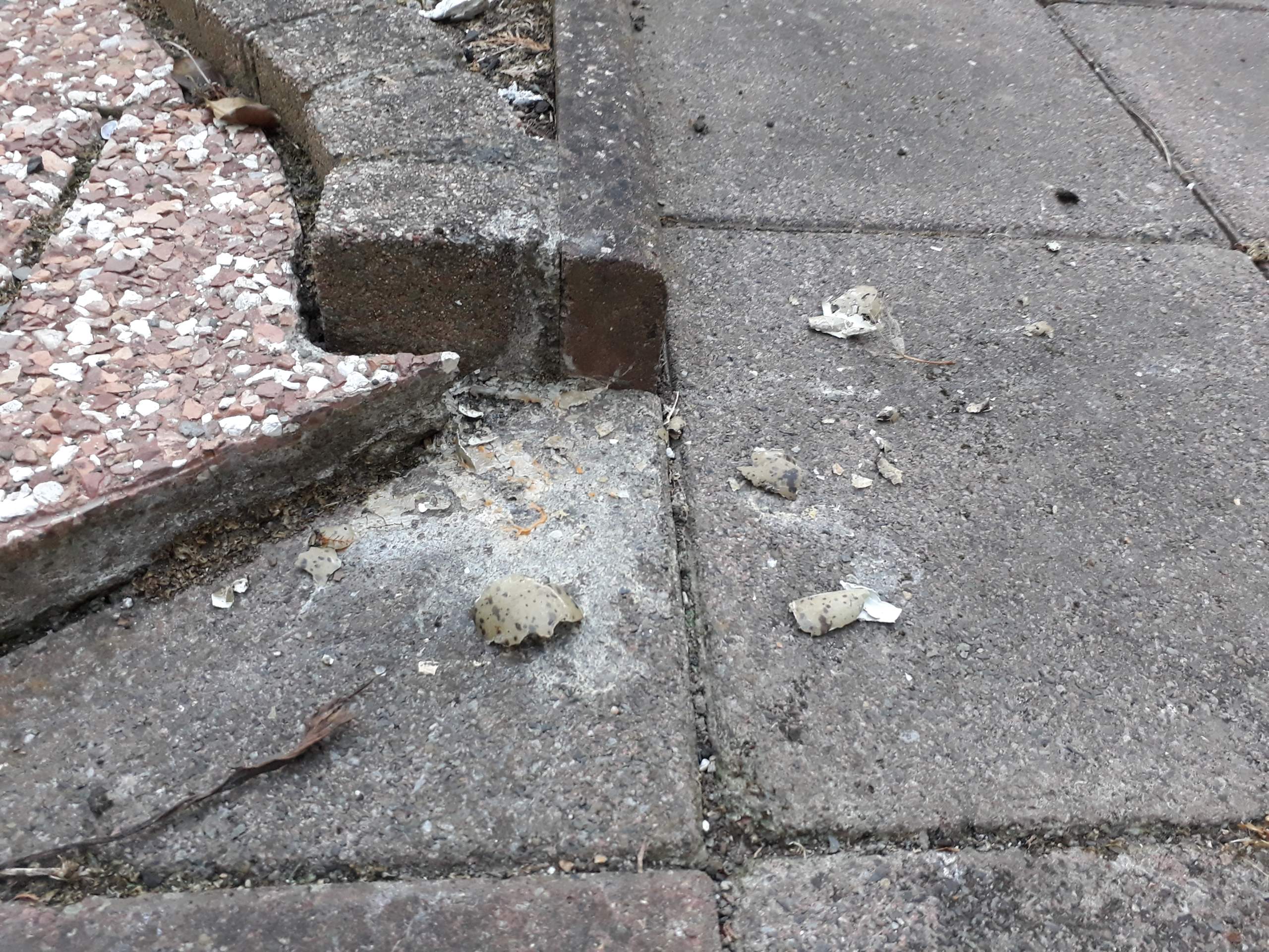 Wie Stelle Ich Meine Nachbarn Zur Rede Streit 