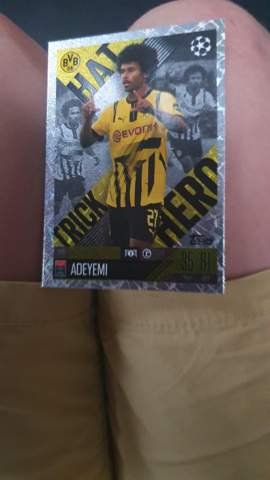 Bild zum Beitrag