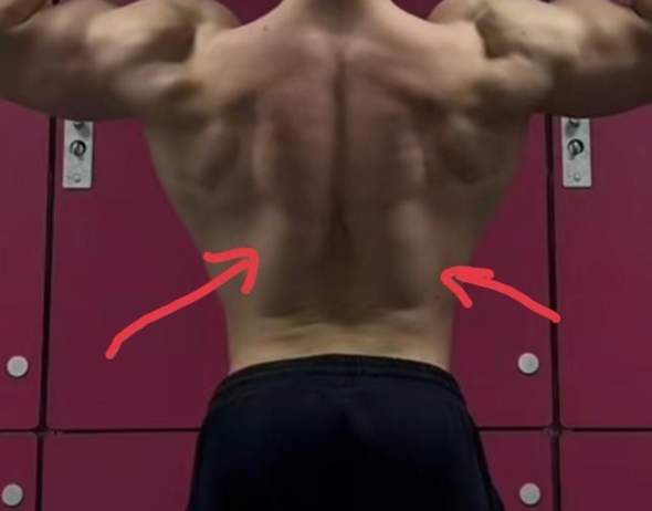 Wie trainiert man diesen Rückenmuskel?
