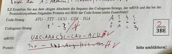 Wie übersetzt man den CodeStrang in den CodogenerStrang, mRNS und