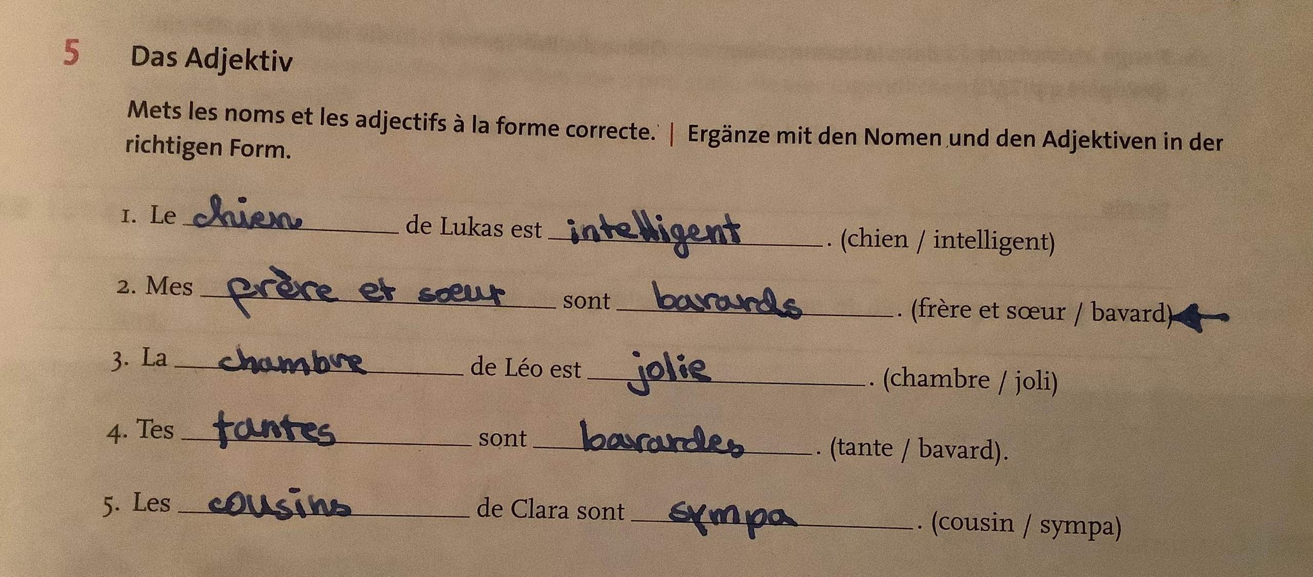 Wie verändere ich das Adjektive im französischen wenn verschiedene