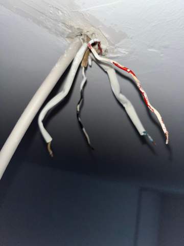 Wie verbinde ich 4 Kabel die aus der Decke kommen mit 2 Lampen, Doppelter Kippschalter?