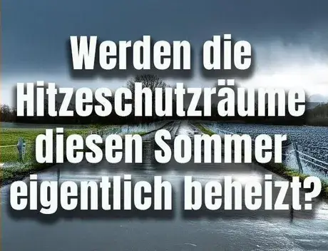 Bild zum Beitrag