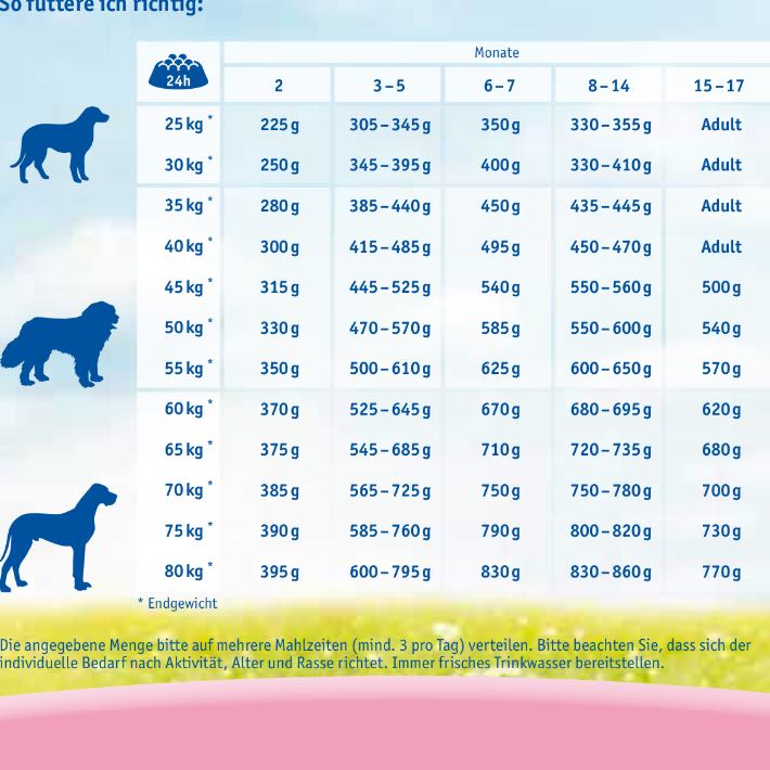 Wie viel Futter bekommt ein Welpe? (Hund, Haustiere, Welpen)