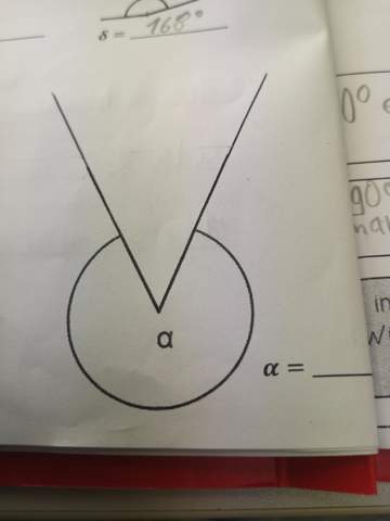 Wie viel Grad hat dieser Winkel?
