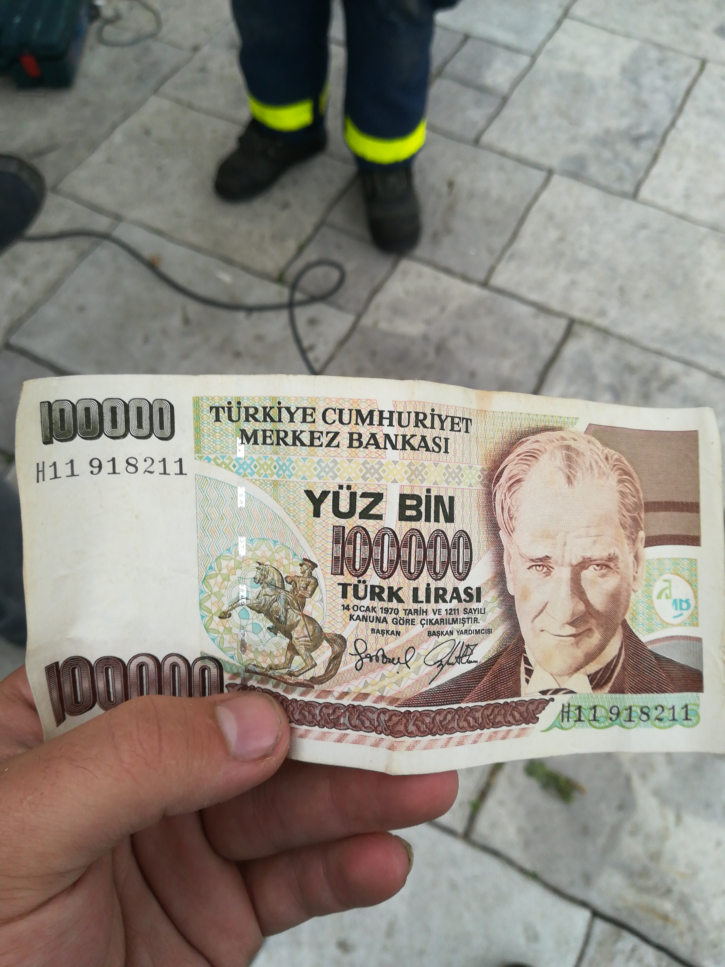 Wie Viel Euro Kostet Ein Papagei