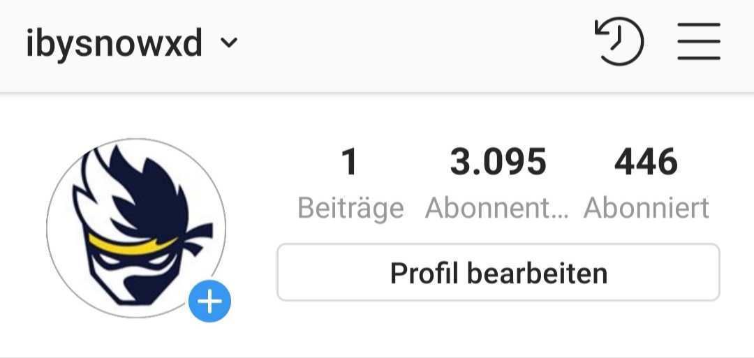 Wie viel ist dieser Instagram Account wert? (PC, Technik, Internet)