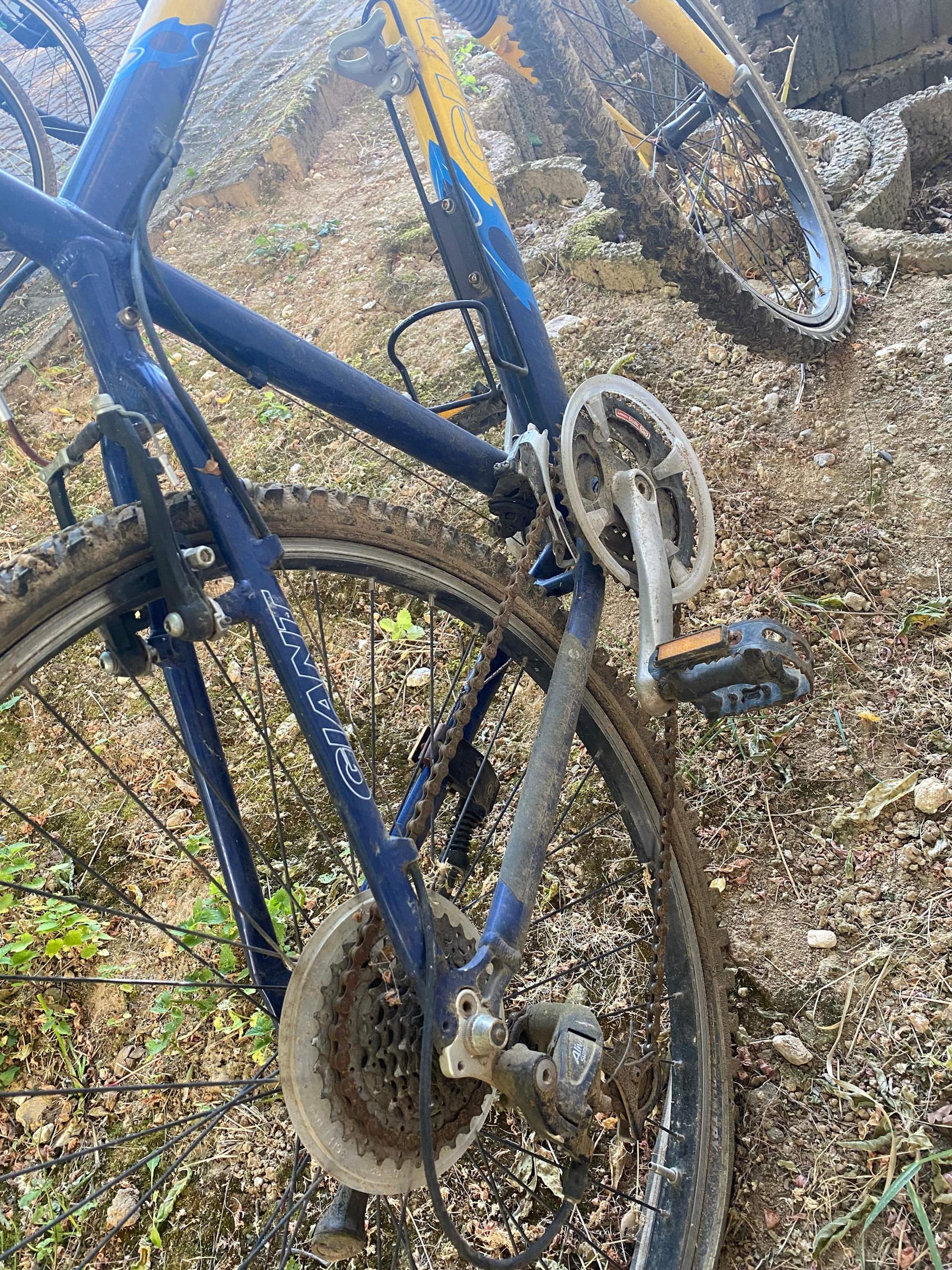 wie viel kostet ein fahrrad