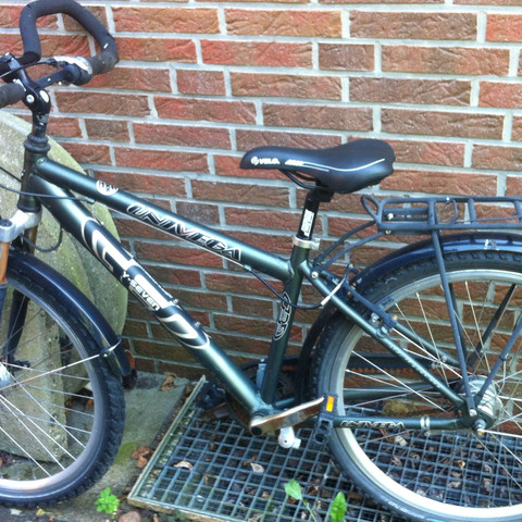 Fahrrad - (Fahrrad, Mountainbike)
