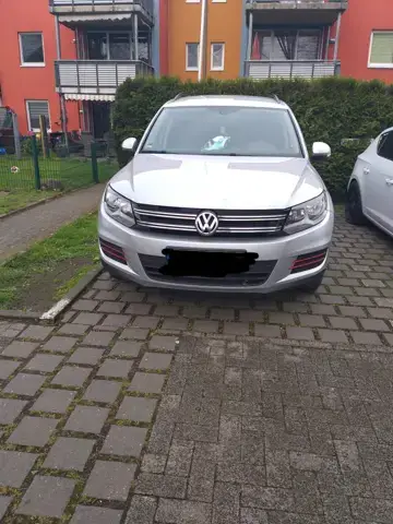 Bild zum Beitrag
