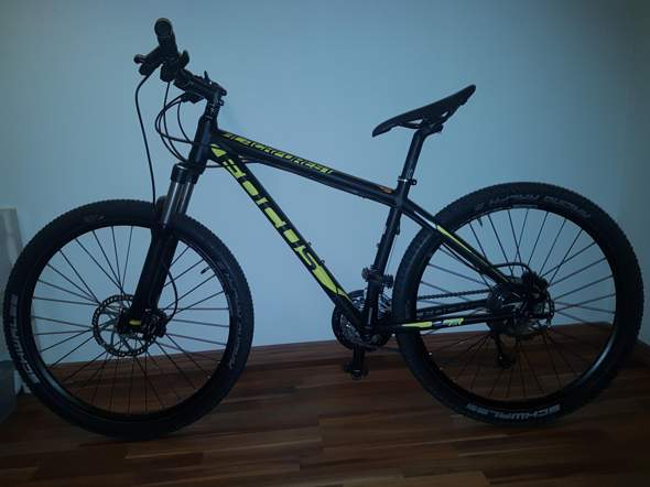 Wie viel kostet dieses Fahrrad (ca.)?
