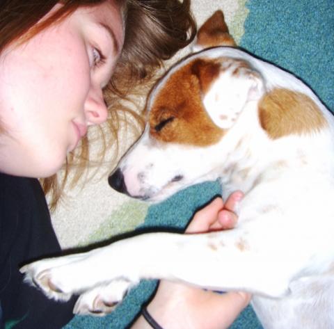 meinem jack russel raus gassi gehen