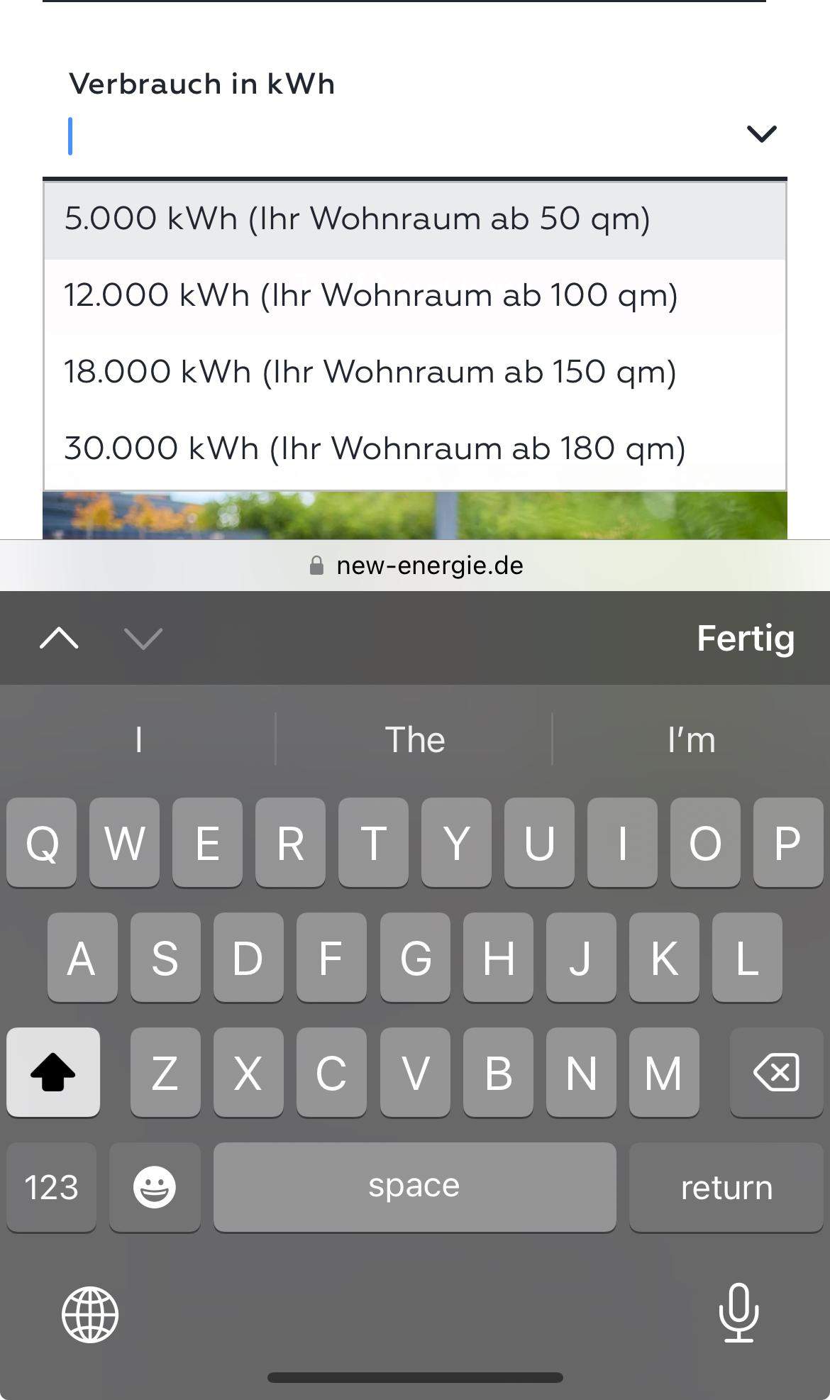 Wie Viel Muss Man Bei Ohrthermometer Dazurechnen Wie viel muss ich beim Gasverbrauch angeben?(siehe Bild)? (Energie