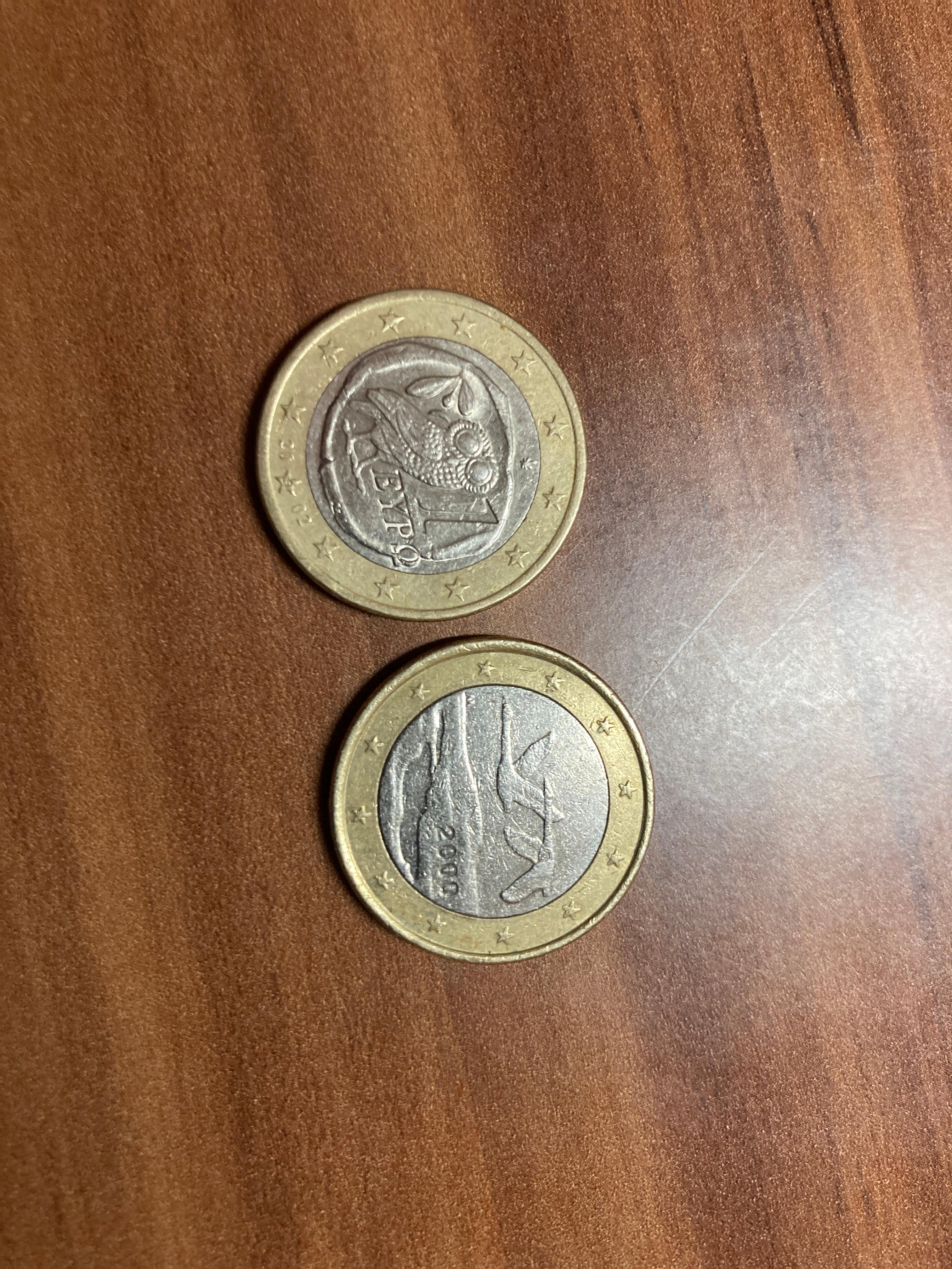 Wie Viel Euro Kostet Ein Papagei