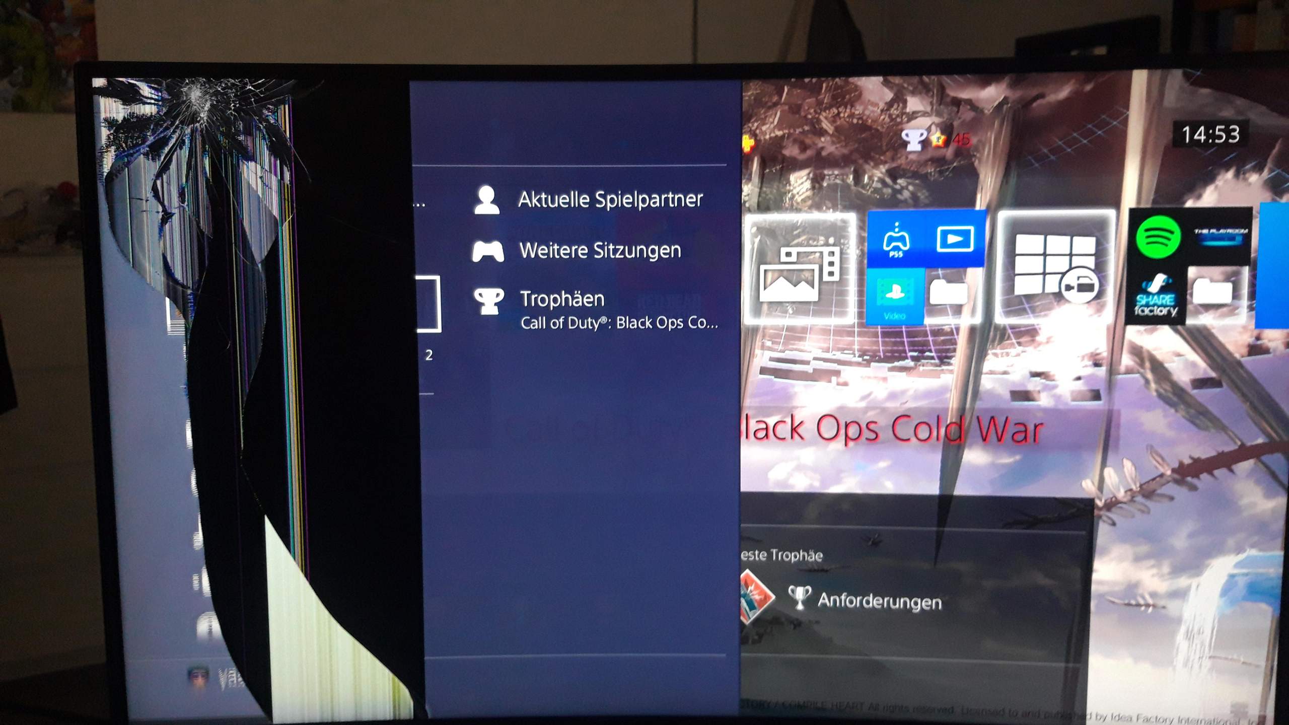 Wie viel würde die Reparatur kosten? (Monitor)