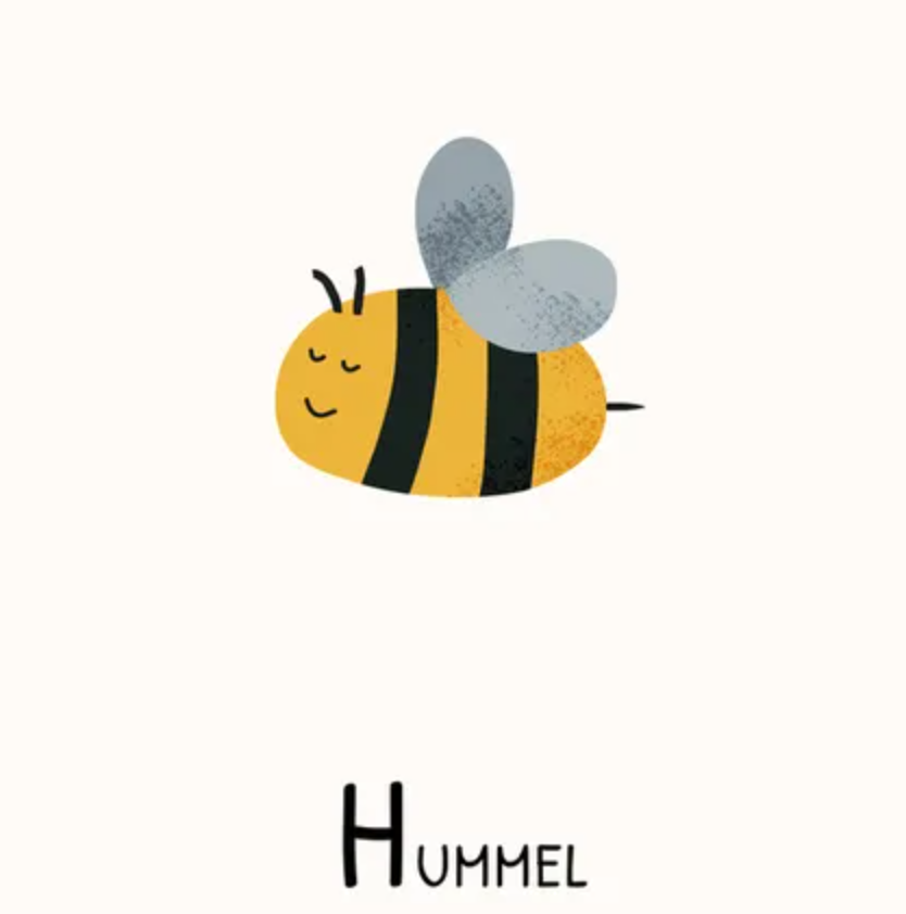 Wie Viele Beine Hat Eine Hummel