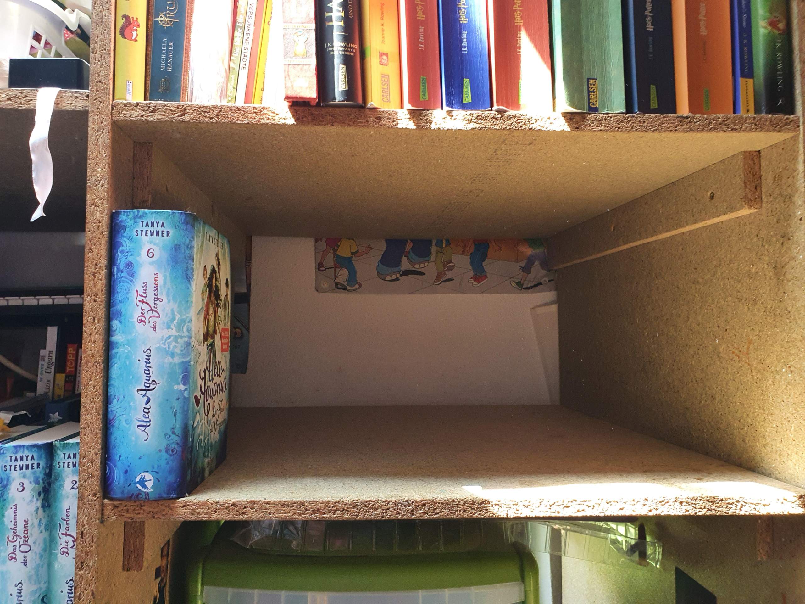 Wie viele Bücher passen in mein Regal? (Mathematik, Buch, Größe)