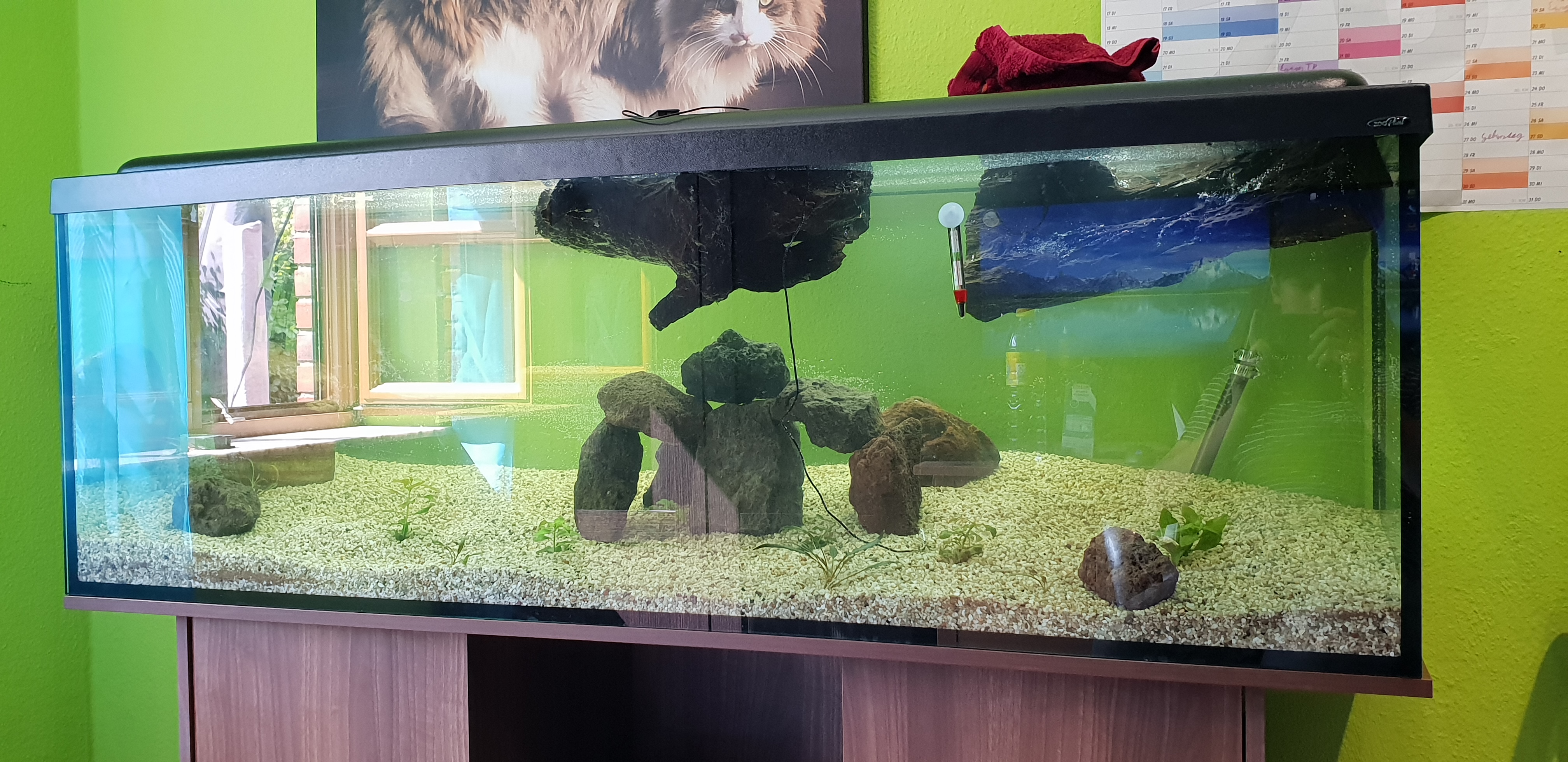 Wie viele Fische dürfen in mein 400l (150x50x50cm) Aquarium?