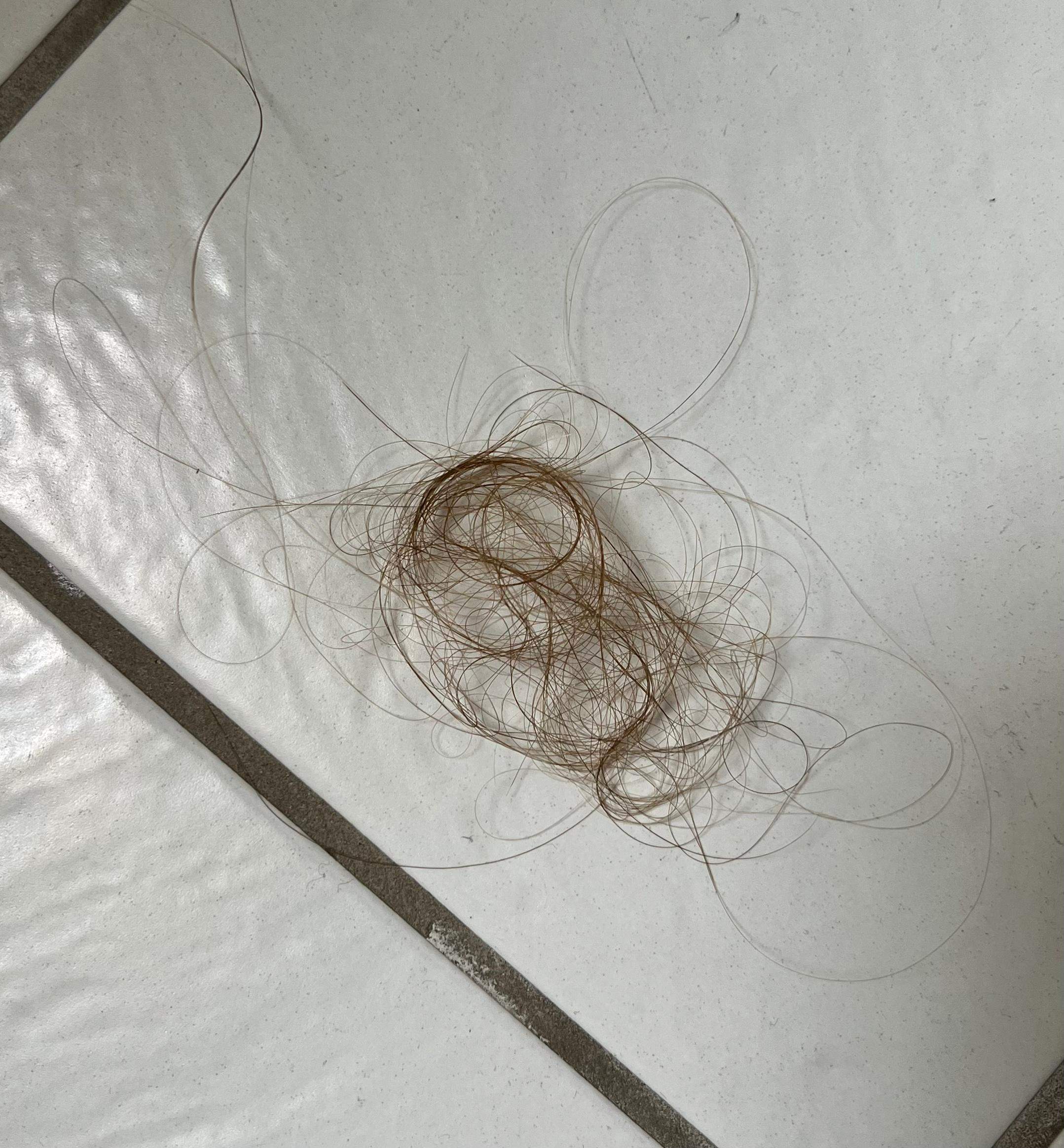Wie Viele Haare Verliert Man Beim Duschen