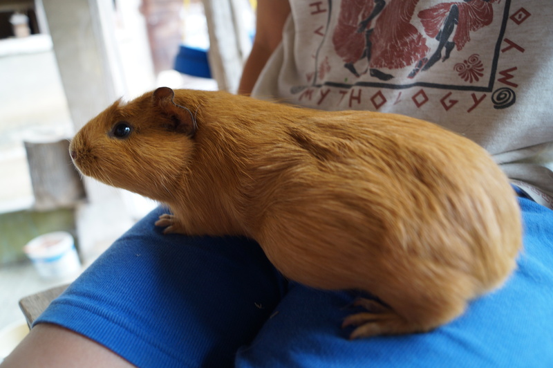 Wie Viele Wochen Ist Mein Baby Wie Viele Wochen Ist Mein Baby